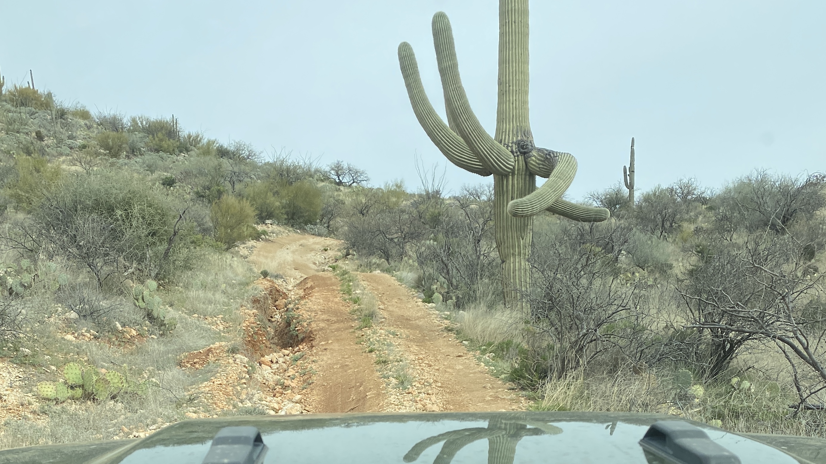 Jeep Gladiator Aravaipa Canyon, AZ with Gladiator Mojave and trailer in tow 5BAC5515-9B7C-4A14-BA66-0DAD3A3F47B4