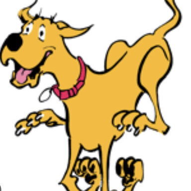 Naked Jeep pics where you wish they had doors on | Jeep Gladiator (JT