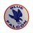 Blue Falcon